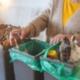 Waste and Recycling Service Transformation at South Kesteven District Council
