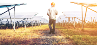 Managing Virtually and Remotely for Local Authorities