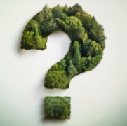 Take our short survey on current and future tree planting schemes