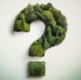 Take our short survey on current and future tree planting schemes