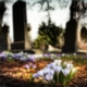 APSE Cemeteries and Crematorium Seminar 2018
