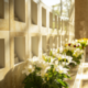 Flintshire's first columbaria installed at cemetery