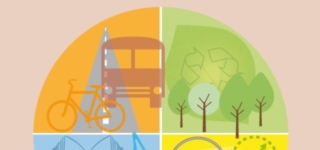 Neighbourhood services and sustainable local government
