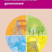 Neighbourhood services and sustainable local government